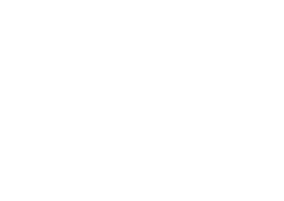 VizDen Studios